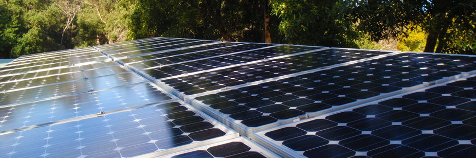 Phoenix Technology - digital terrestrial TV